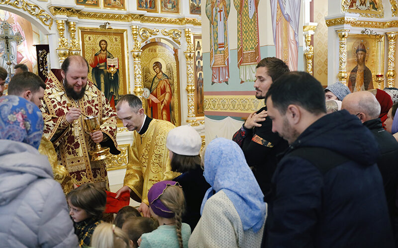 Память князя Александра Невского в Видном