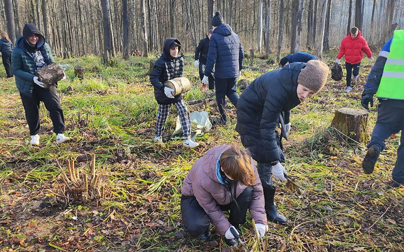 «Трудовой десант» в Чернецком