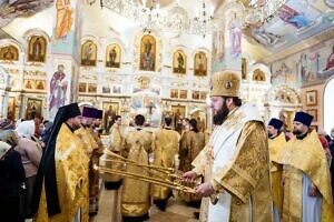 Архипастырский визит в Александро-Невский храм города Видное