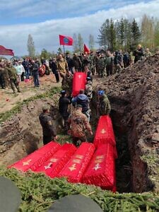 Поисковые работы в рамках Вахты памяти в Новгородской области